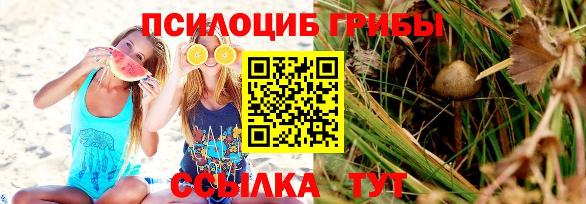 Ялта  Галлюциногенные грибы Magic Shrooms  как найти закладки  Вход с VPN 